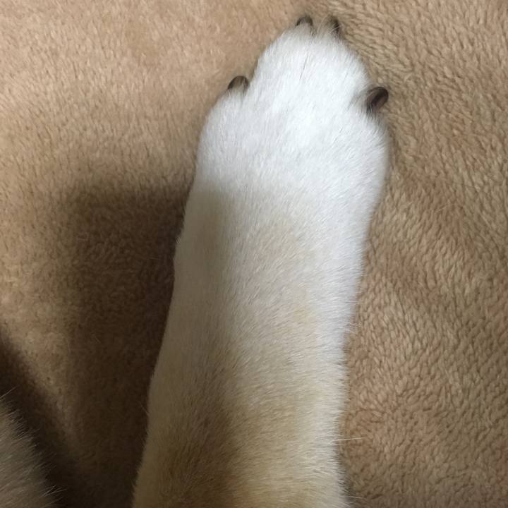 5d42ac37 05eb 4906 aa6f e7725c30fbaf 1556614090408