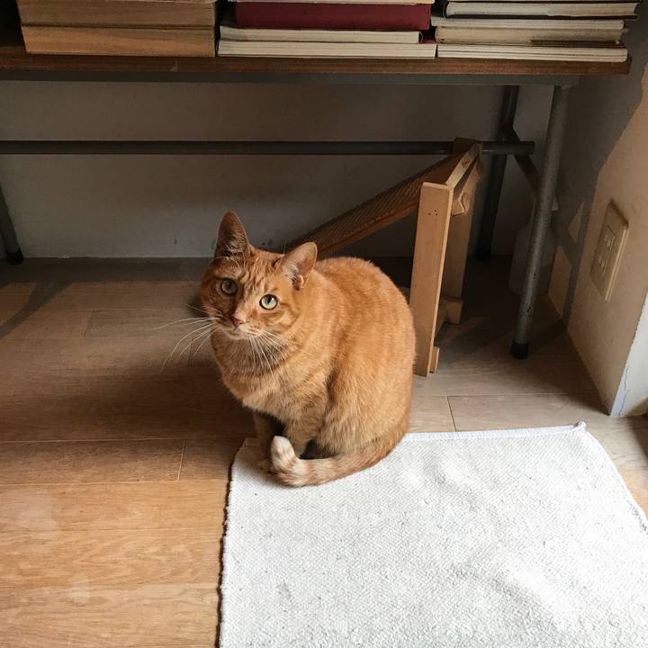 5d42c967 f92d 4246 a7e9 ada1cadab55b 1511778468105