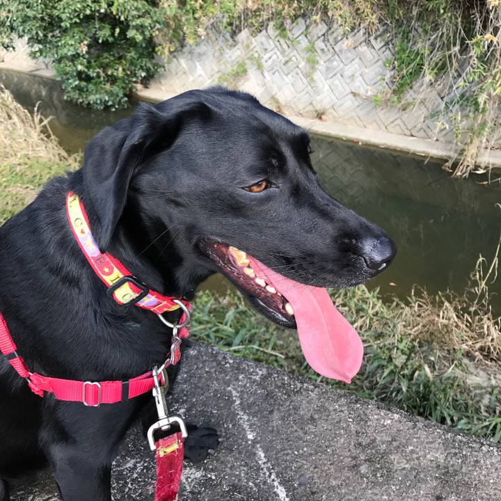 5d42f9e9 915f 4412 8377 e1322ca2dbd5 1509693316614