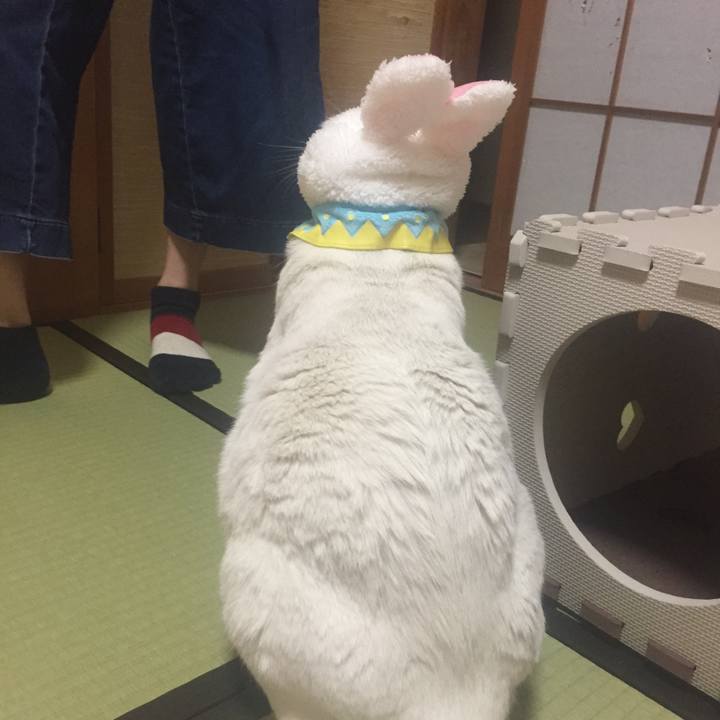 5d431ded 6df4 4f22 9095 fa864b6c5fba 1523631323809