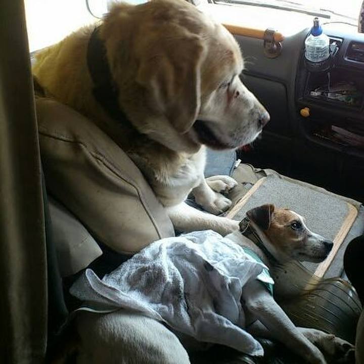 5d435a60 f0f7 43ea a683 d0aa1ddfe6a4 1565607739150