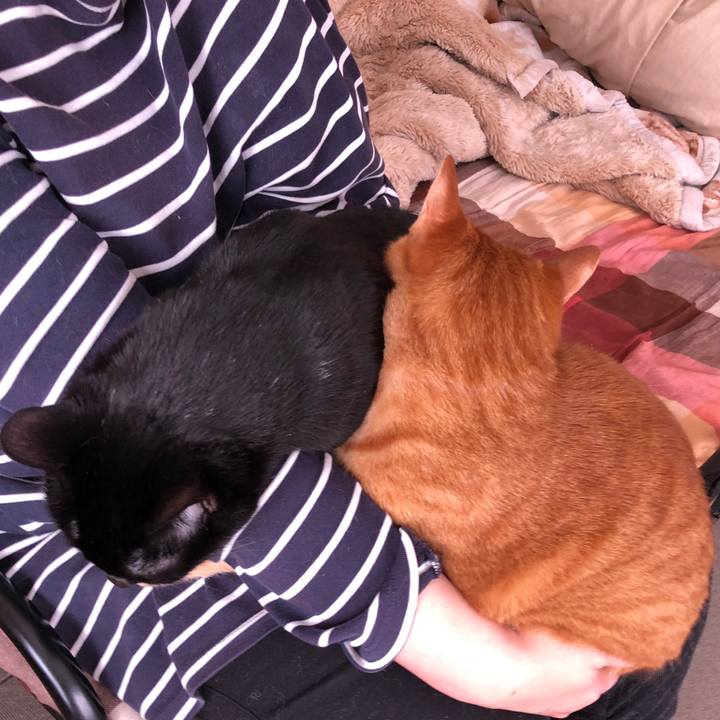 5d436c9a 5a28 4f12 bebb d8e3e46ebd21 1676780757571