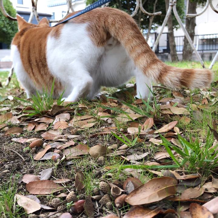 5d43897f 7af4 43b0 b521 9015375c3df3 1542872257425