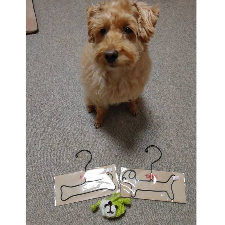 5d43e97e 2830 4925 b1b3 54b07c84897a 1602194812943