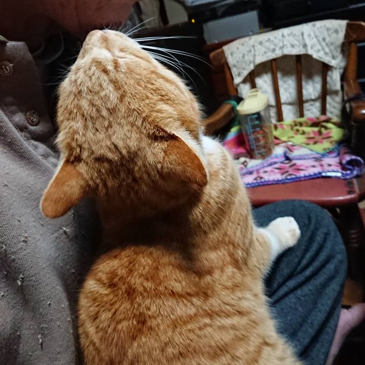 5d440e7e 11c6 4286 885e d2dfbc25fe31 1579552873197