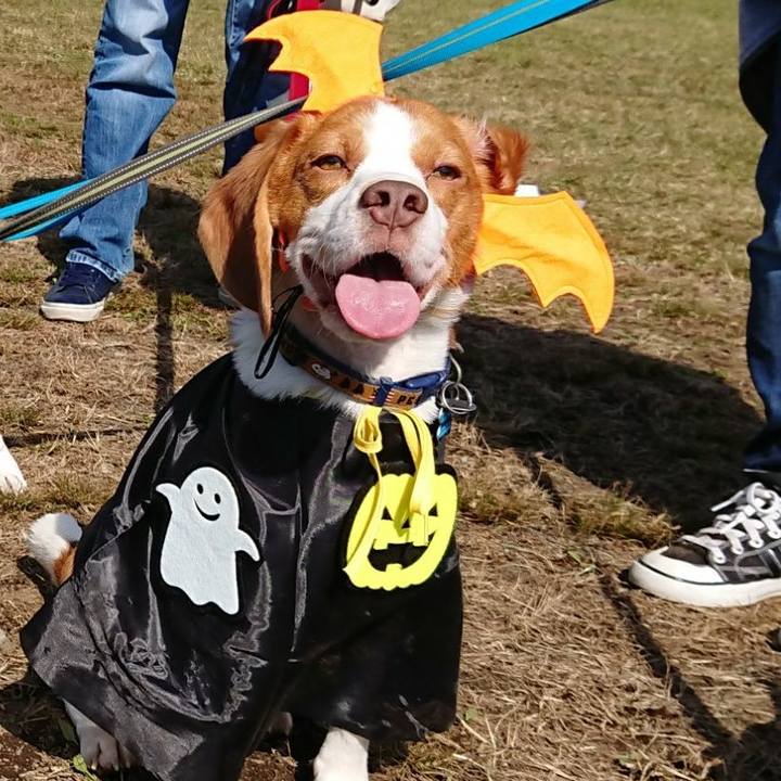 5d44272d 0faf 42b8 8b2f c094d4c7fdde 1540911132220