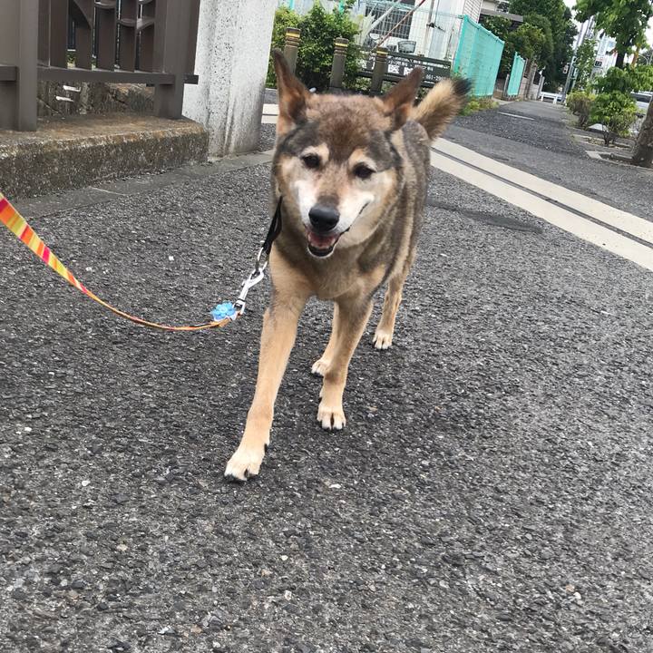 5d443dbd 5fa1 4145 98a7 ad8aaaa321f5 1559088695782