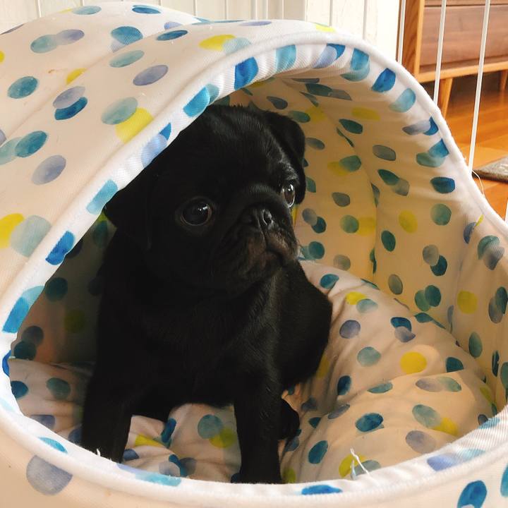 5d44410a 3dd0 41bd b66d ebf03276abb5 1590532840598