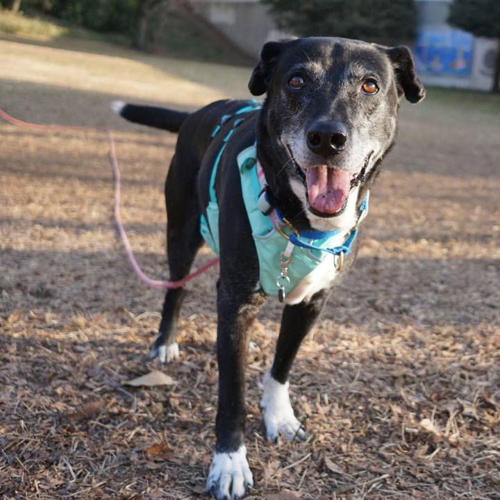 5d444587 cac8 4fa6 a611 5fe4d9bd7dd6 1771807386344