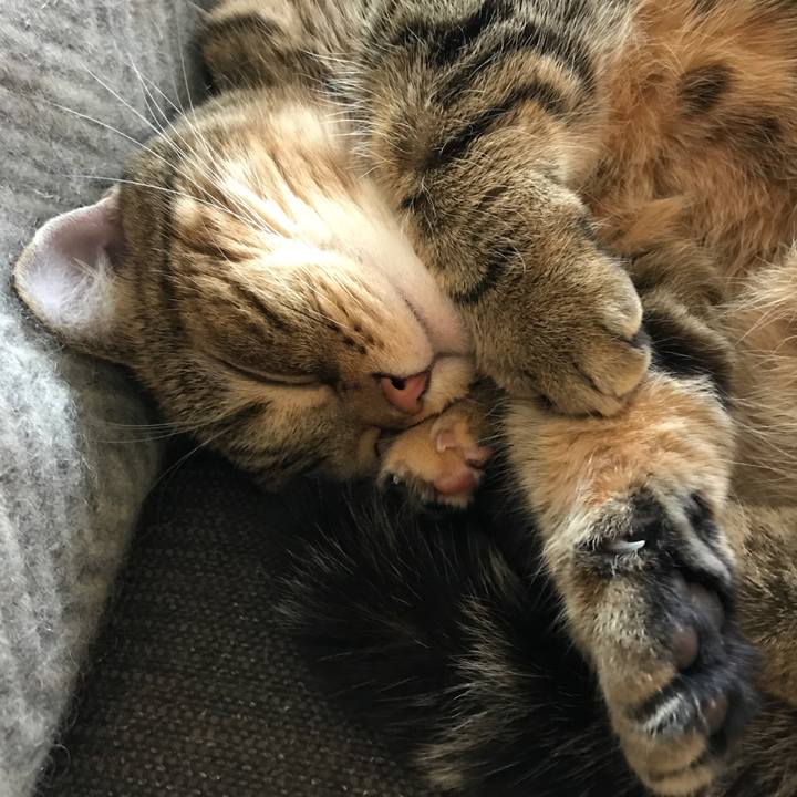 5d44561e 076e 4859 ad0a a93cfcb65718 1512037699066