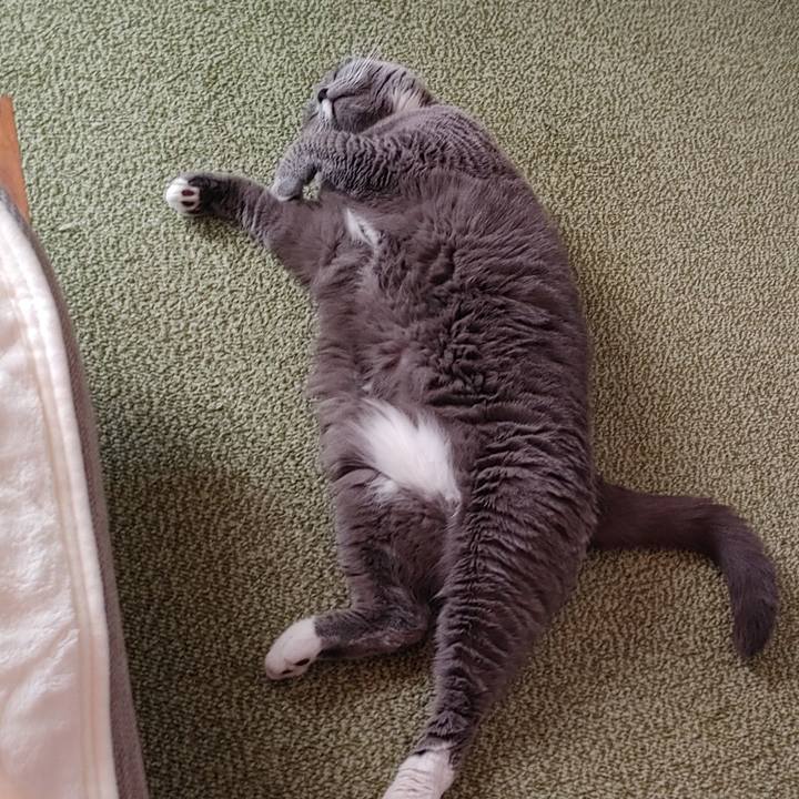 5d44629b 5a53 4df2 a9de 489c3bcca51d 1681021906467