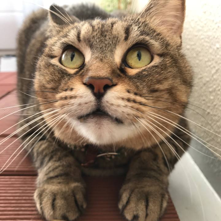 5d448880 ef36 4326 9b0c 149b0fc6d5ce 1572677130789