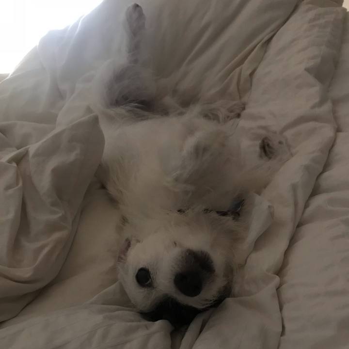 5d44a2b1 dda6 4813 b4dd 58763a35163e 1539789291155