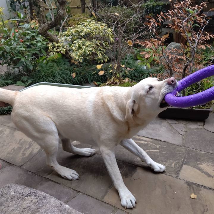 5d44abe9 9bfd 4c04 ae1a a6d215291095 1668916714834