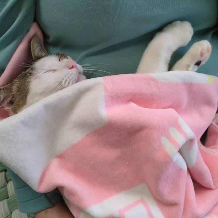 5d44be02 7b2b 4883 895d f227c499ef72 1747218824093