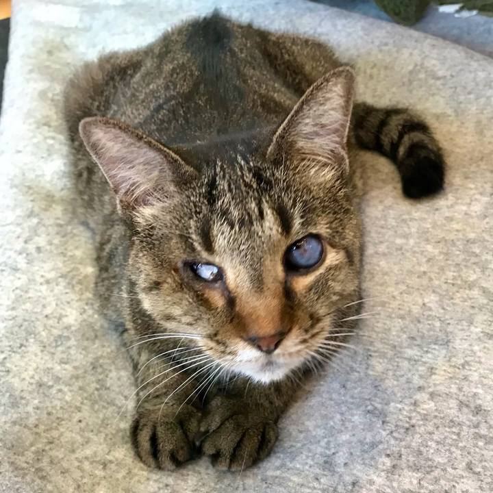 5d44be78 39dc 4f2d b577 470d671ad17d 1628407558282