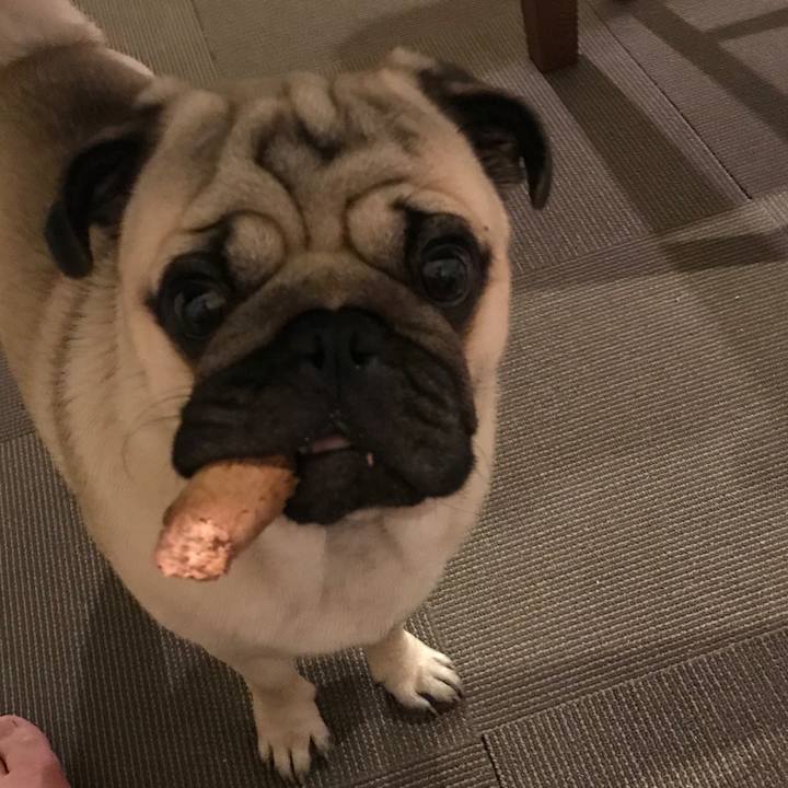 5d44d574 ee16 4cd5 93ef edff7c1b8dc6 1559475890110