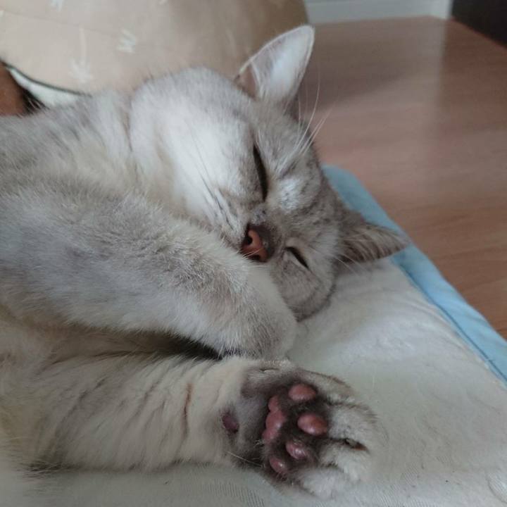 5d44dee7 12db 4b84 89a1 5492dcc4a39e 1532238982073