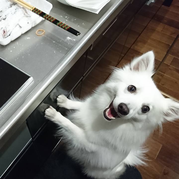 5d44f94a 800a 4fa5 8b77 d662e9ec02c1 1528033721729