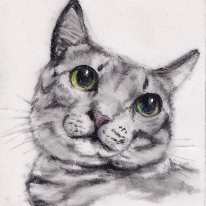 5d452511 01f4 4638 9db3 687d66d2d125 1724596438902