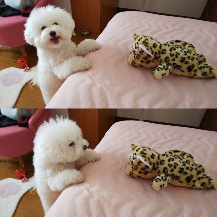 5d45252d b5aa 43d7 89c4 42a44db8e1ed 1534668386763