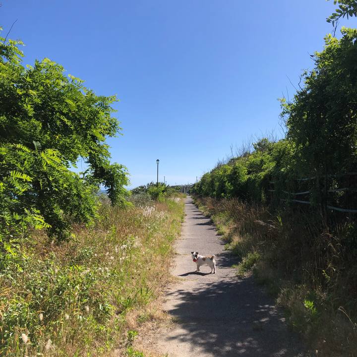 5d4535c5 0303 422a acf0 9ac78c7e32b5 1592695462194