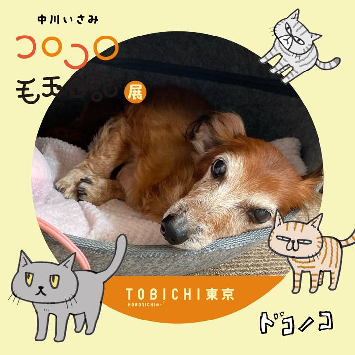 5d459167 ea1e 4b70 a186 78d20f6176f6 1771821889290