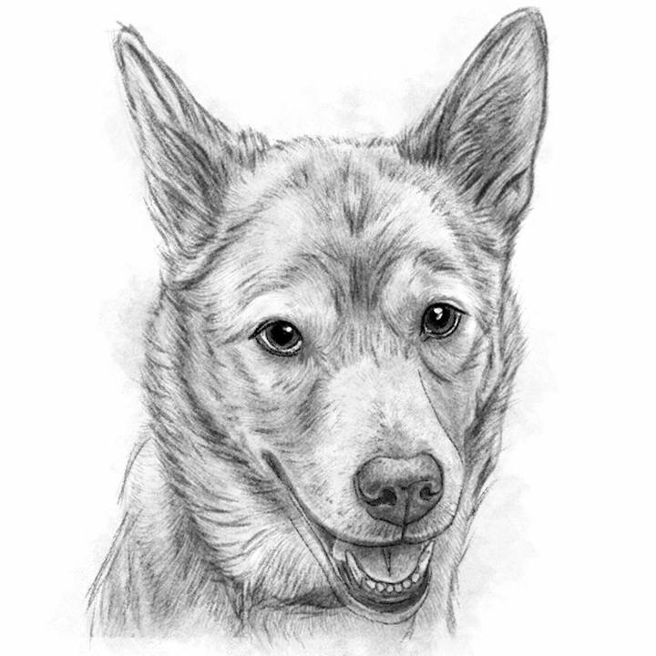 5d45af76 ec5a 4f25 8dd0 84cf147e5785 1773579571440