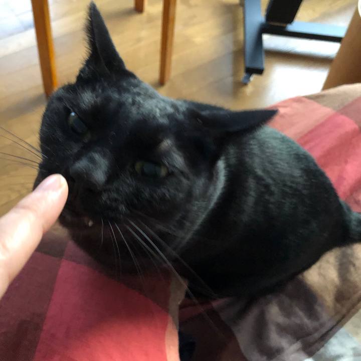 5d461879 b320 49bb 82e7 dd95e001e1ca 1710364216473