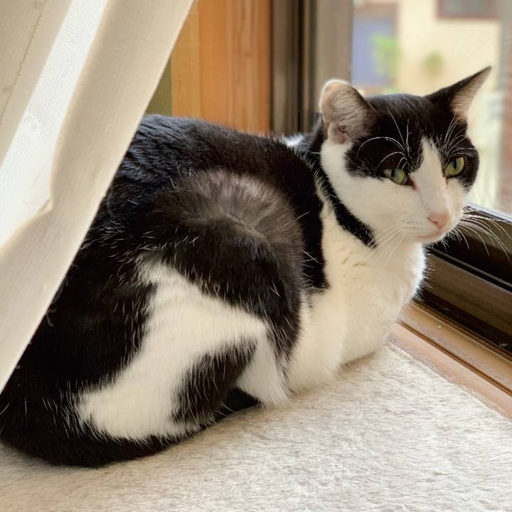 5d461b89 8a0f 4c70 b9ce e6df797ff64f 1544408059873