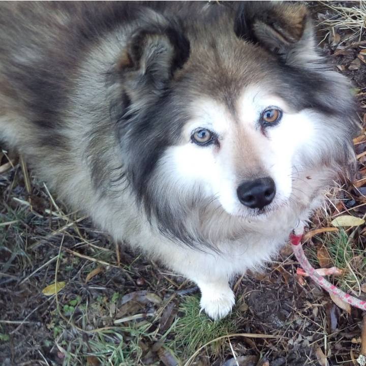 5d465f8f 90d7 4229 a687 9c77fbab9998 1560986337174