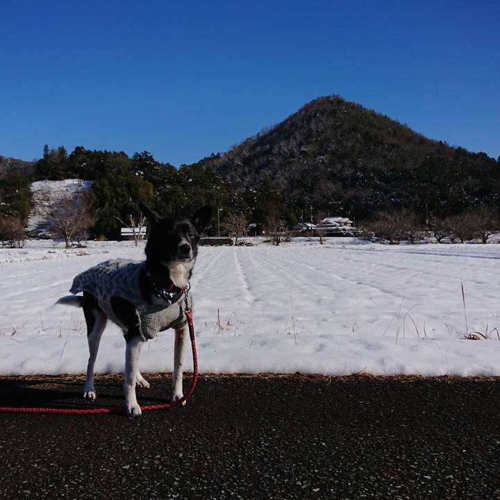 5d467836 b7b2 47c9 892a b08b0d9133f6 1641091380648