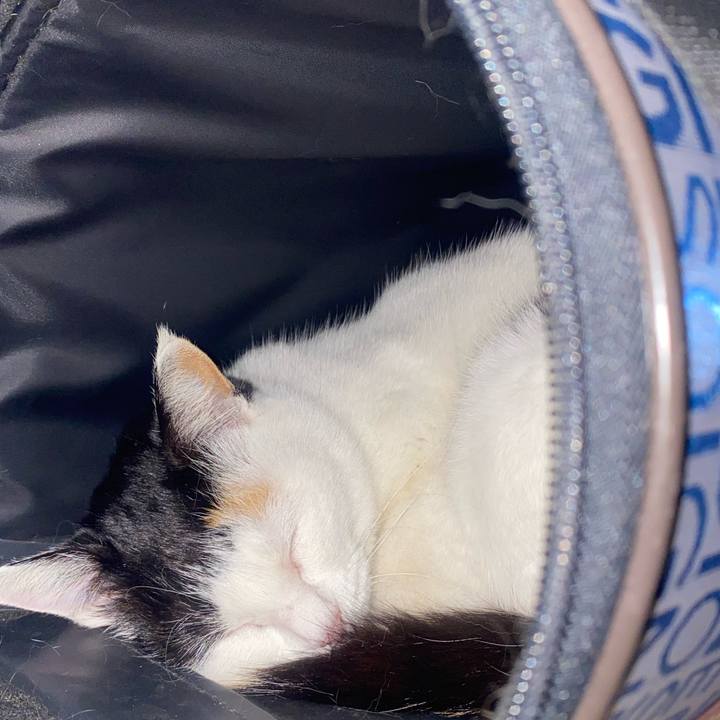 5d469f75 faae 4d94 b816 c62324bb57cb 1647093514340