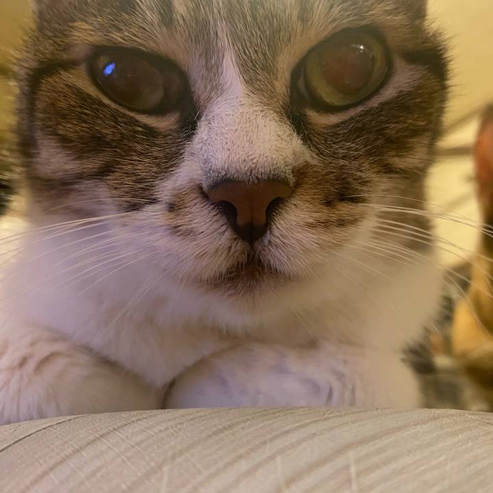 5d46b186 280a 4346 90b3 c32cafc10352 1627485599517