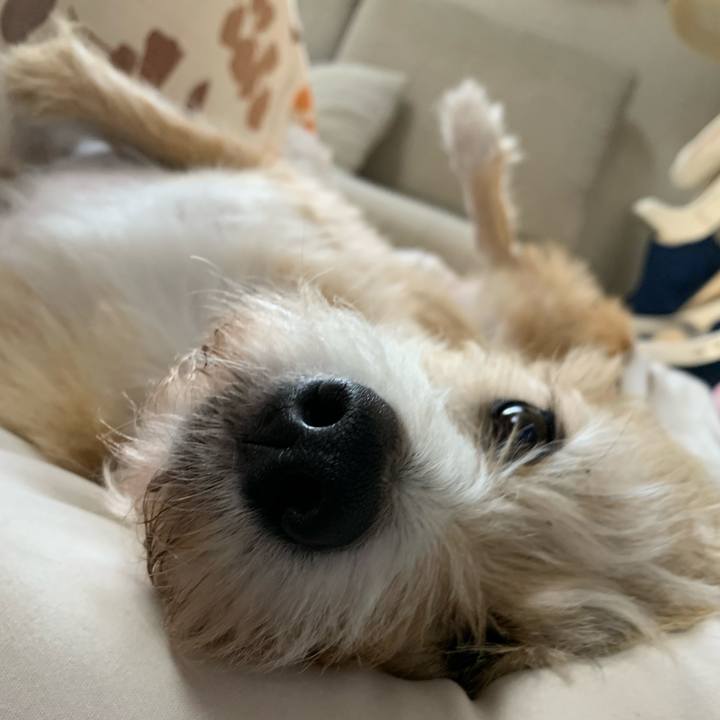 5d46b257 c32f 4e6c 889d 1f4de445afd4 1635334930067