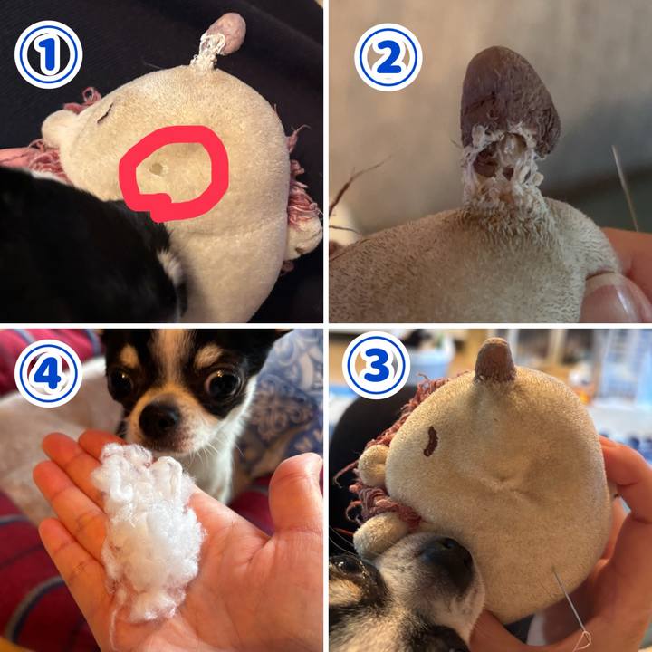 5d46c0eb 48b5 4c45 82fc 3f805ed02151 1766185912282