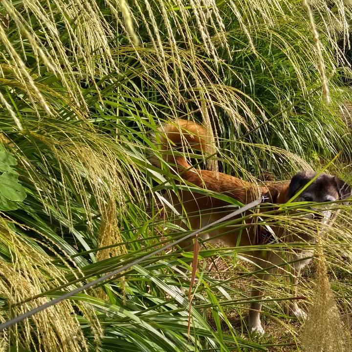 5d46d785 f15e 40a9 abc9 8aef4195a764 1568937604454