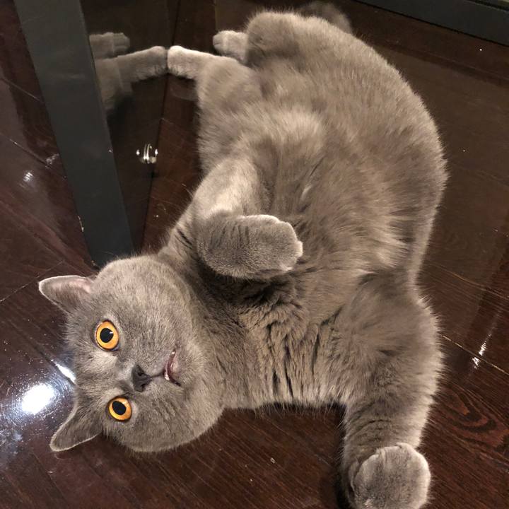 5d470649 bf50 4393 90b2 a7dcc1f0582c 1538733442261