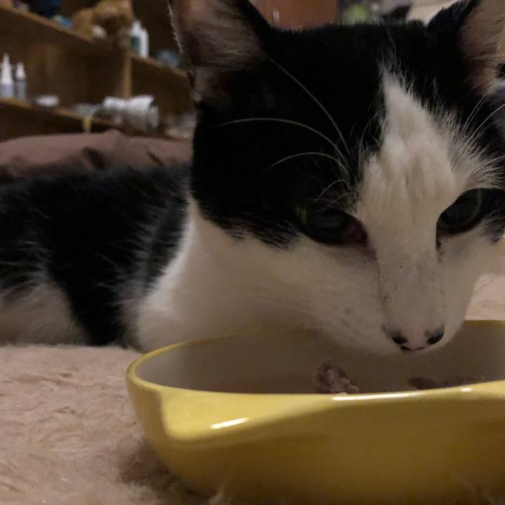 5d4717e2 827e 4453 99cc c38e9a1136a3 1547043099365