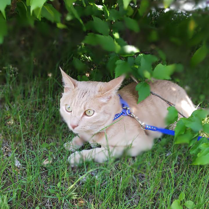 5d472c7c e9ae 4795 9a56 45fd5eeffab4 1593913271427