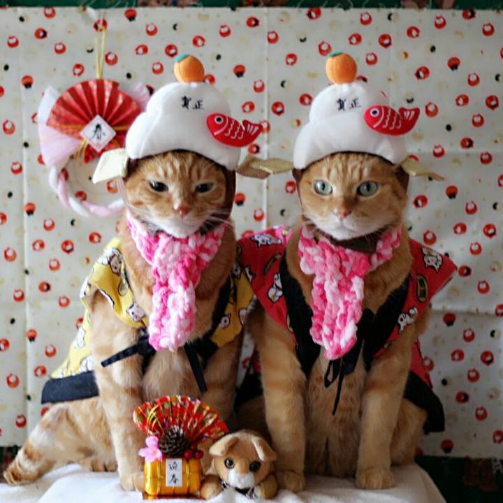 5d473a4b 0443 4e5e be85 d1b672710613 1514734872960