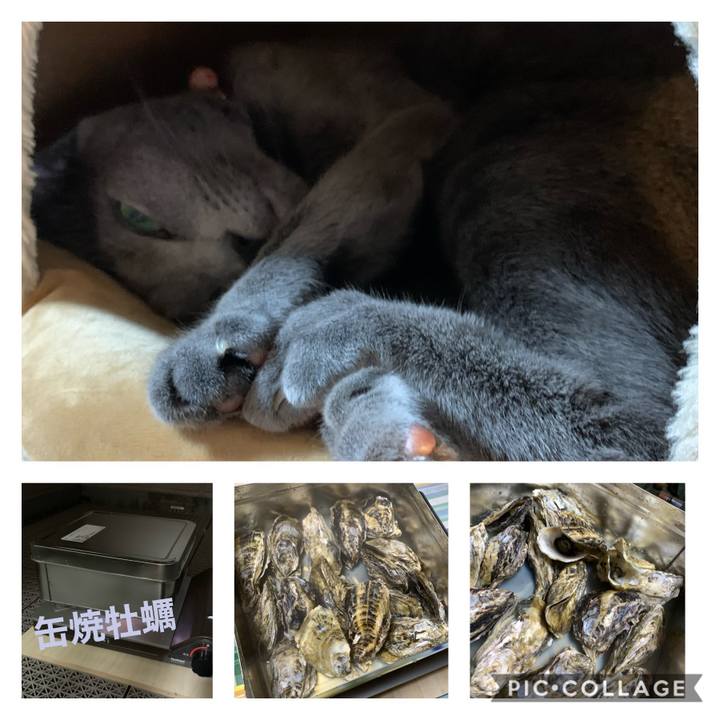 5d474db5 0e6d 4fcd a979 758438b6c1fe 1605617489904