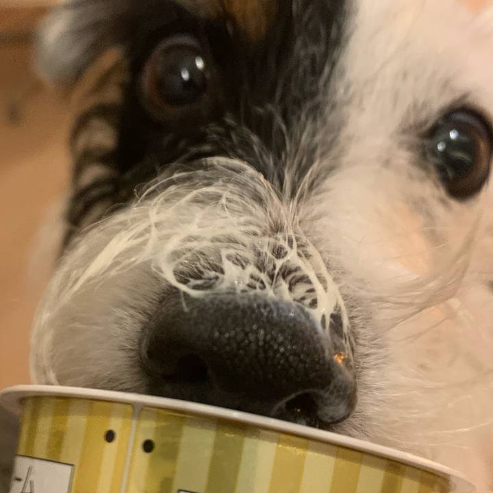 5d476c65 4e50 43ba beef 546985f8ba33 1571751026009