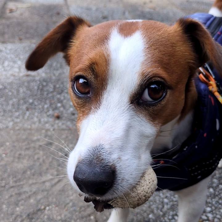 5d477476 e182 4013 87a6 b9641504b090 1734855555957