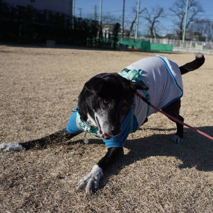 5d47bb63 79c2 4f95 9112 b001317433f3 1772929769423