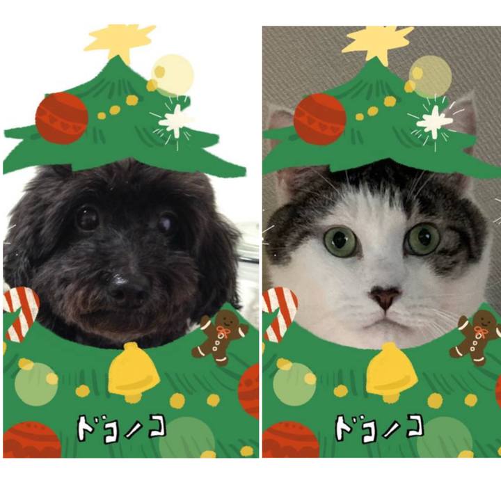 5d47d431 42fd 4d31 8adf 38eef85253f0 1762815435639