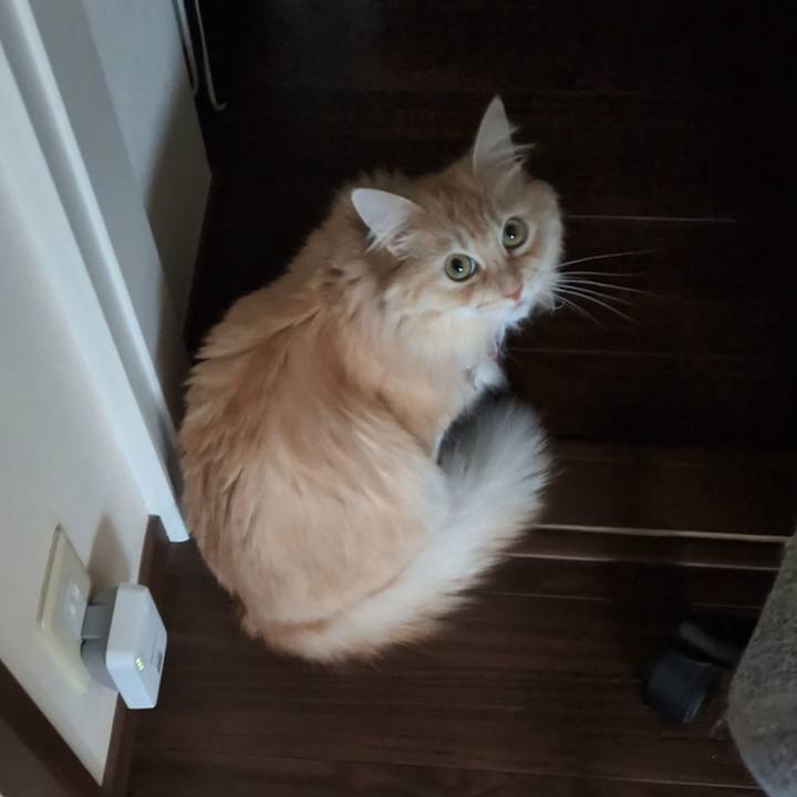 5d47d582 c7d6 442d b466 4ff919cf767d 1757568827033