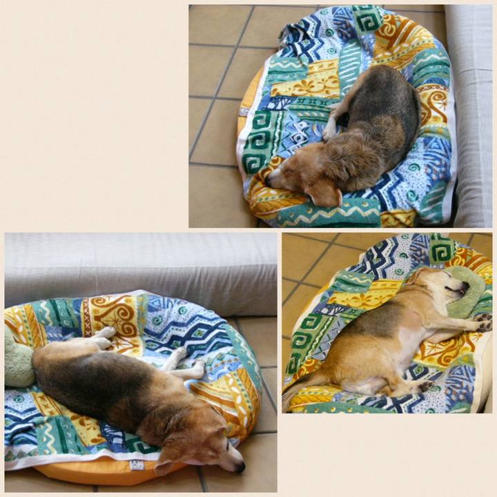 5d47d5b5 448e 4741 a459 54b977808575 1689898169439