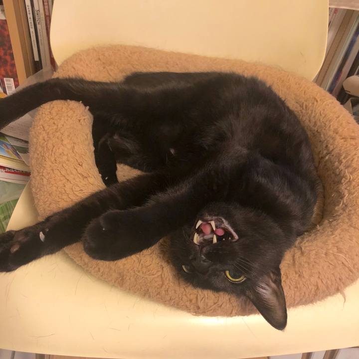 5d47d6b9 dd54 456a 9024 b5253bfbd70f 1568898740512