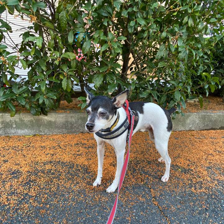 5d47df9c 0779 40db 9294 abc1e5e205d5 1603494836152